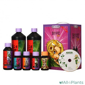 B'CUZZ STARTERS BOX COCO 1M²