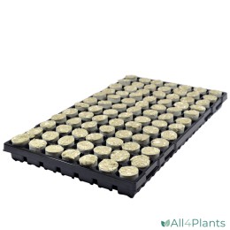 ROCKWOOL PROPAGATION PLUGS Ø 34 MM FIRM PER CARTON (8 TRAYS=672 PLUGS)