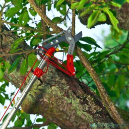 4009269720038-2-WOLF-GARTEN-RC-VM-BOOMSCHAAR