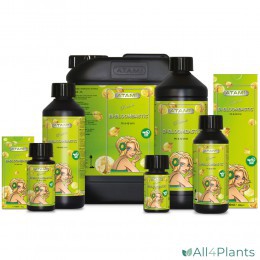 PRODUCTENLIJN ATA NRG BI-BLOOMBASTIC 100 ML