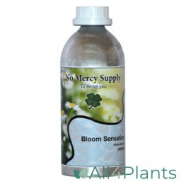 no-mercy-supply-bloom-sensation-1-liter
