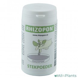 RHIZOPON CHRYZOTOP GROEN 0.25% 20 GRAM