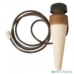 BLUMAT KAMERPLANT XL VOOR POTTEN V/A 15 CM