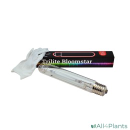 TRILITE BLOOMSTAR HPS 400 WATT VERPAKKING