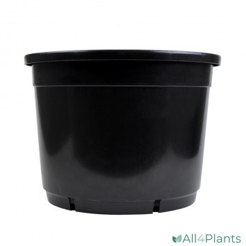 IPP RONDE POT 45 LITER Ø 46 X 33.5 CM