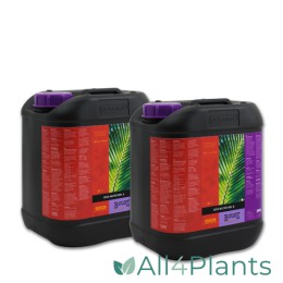 B'CUZZ COCOVOEDING A + B 5 LITER