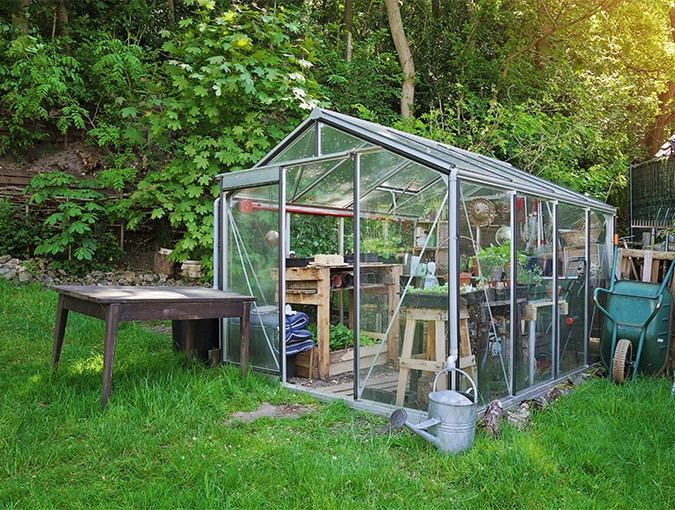 binnen kweken in een kas