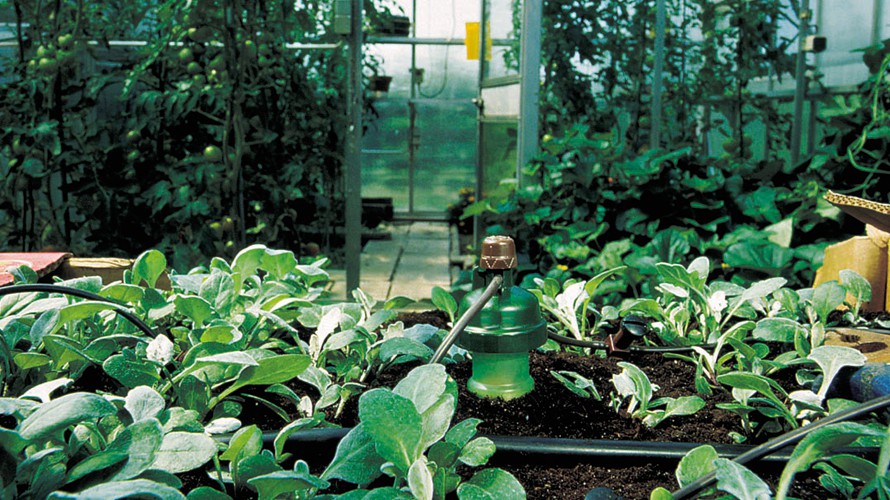 Blumat irrigatiesysteem om planten te bewateren