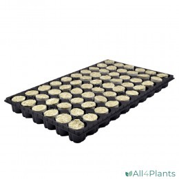 ROCKWOOL PROPAGATION PLUGS Ø 38 MM FIRM PER CARTON (8 TRAYS=480 PLUGS)