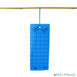 TOEPASSING RUSSELL IPM VANGSTRIPS LIJMVALLEN BLAUW 20 STUKS