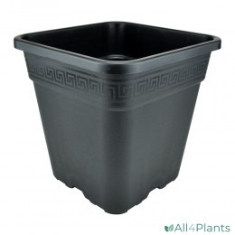 NPB VEGA VIERKANTE POT 14 LITER 28,5 X 28,5 X 28,4 CM
