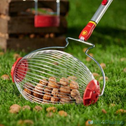 4008423913767 WOLF-GARTEN FC-M FRUIT & NOTEN COLLECTOR MET WALNOTEN