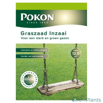 POKON GRASZAAD INZAAI 250 GRAM