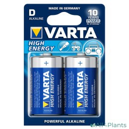 VARTA D ALKALINE BATTERIJEN BLISTER 2 STUKS