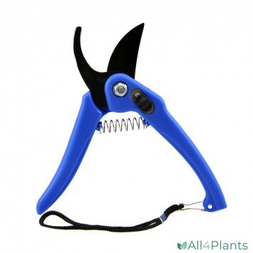 TRINATECH SNOEISCHAAR