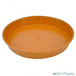 npb-perseo plantenschaal-rond-30cm-terracotta-1000px-mSiCH