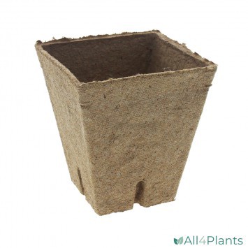 JIFFY POT VIERKANT 8 CM DOOS 1200 STUKS