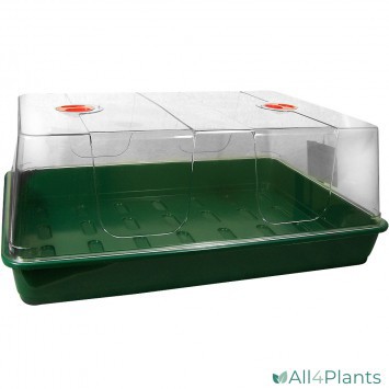 GARLAND XL HIGH DOME PROPAGATOR