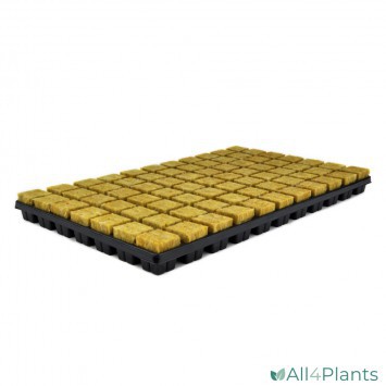 CULTILENE SBS STEKPLAAT 77 3.5X3.5X4CM PER DOOS = 18 TRAYS