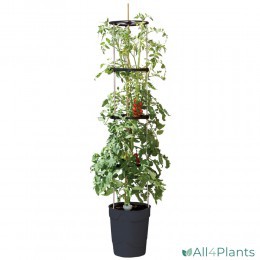 5031670003737 GARLAND ZELF BEWATERENDE POT 11 LITER ANTRACIET
