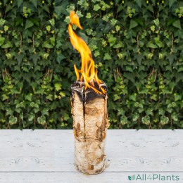 871838400474 SFEERFOTO MYSEASONS BERK KAARSHOUDER MET KOFFIE GEURKAARS