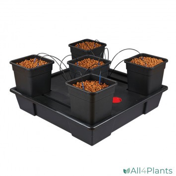 2000560053667 ATAMI WILMA XXL 5 X 25 LITER