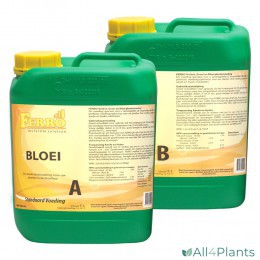 8719172540208 FERRO STANDAARD BLOEI A+B 5 LITER