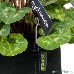 GRONEST FABRIC POT PLANT NAME CARD HOLDER