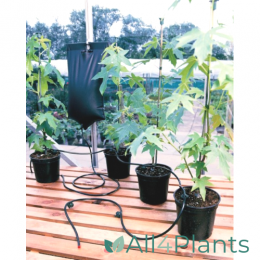 GARLAND BIG DRIPPA EXAMPLE