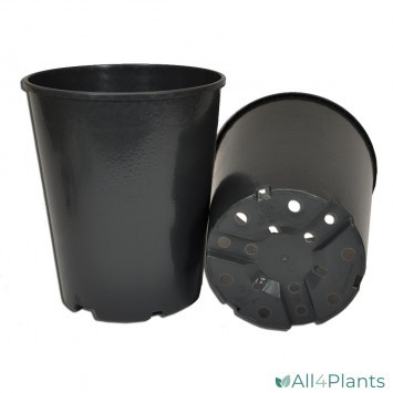 IPP RONDE POT 7 LITER Ø 22 X 25.6 CM