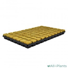 CULTILENE SBS STEKPLAAT 77 3.5X3.5X4CM PER TRAY