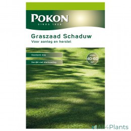 POKON GRASZAAD SCHADUW 1 KG
