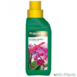 POKON ORCHIDEE VOEDING 250 ML