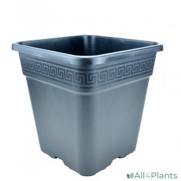 NPB VEGA VIERKANTEPOT 30 LITER 