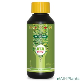 ATA NRG ALGA-C 250 ML