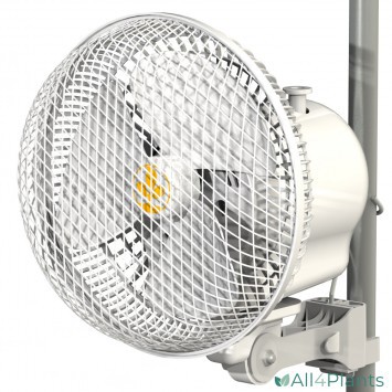 SECRET JARDIN MONKEY FAN OSCILLEREND 17 CM (6.5