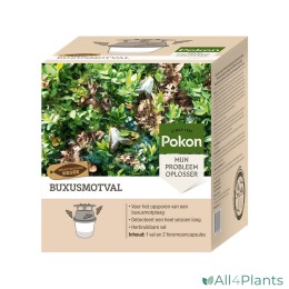 8711969028395 POKON BUXUSMOTVAL