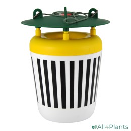 EPHESTIA BLACK STRIPE MOTTENVAL