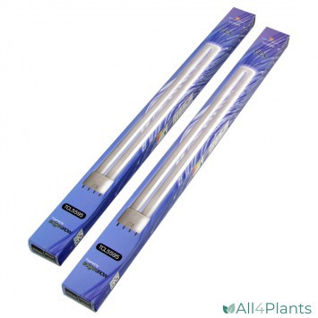 SECRET JARDIN TNEON TCL STEKKEN LAMP 55W 9500K