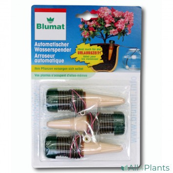 BLUMAT KAMERPLBLISTER MET BLUMAT KAMERPLANT (3 STUKS)ANT (3 STUKS)
