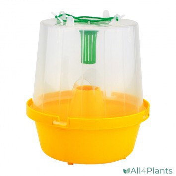 RUSSELL IPM VLIEGEN- EN WESPENVAL