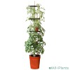 5031670003720 GARLAND ZELF BEWATERENDE POT 11 LITER ROOD