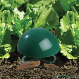 GARLAND SLUG SNAIL TRAP IN USE