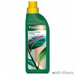 POKON GROENE PLANTEN VOEDING 500 ML