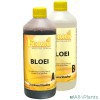8719172540161 FERRO STANDAARD BLOEI A+B 1 LITER