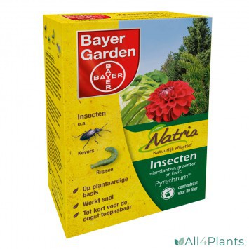 BAYER PYRETHRUM VLOEIBAAR 30ML