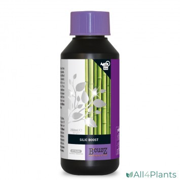 8719497151844 B'CUZZ SILIC BOOST 250 ML