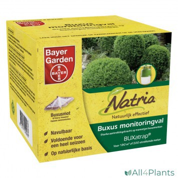 BAYER GARDEN BUXATRAP BUXUS MONITORINGVAL