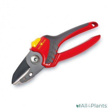 4009269304870 WOLF-GARTEN RS2500 AAMBEELD SNOEISCHAAR COMFORT PLUS