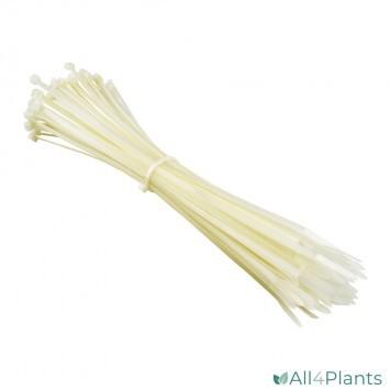 KABELBINDER WIT 5x300MM 100 STUKS